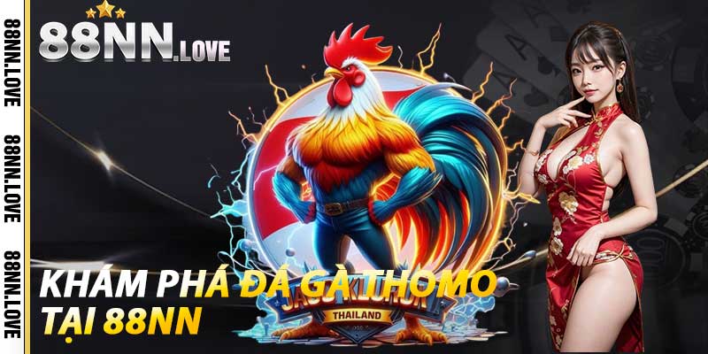 Khám phá đá gà Thomo tại 88NN