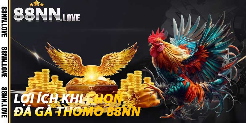 Lợi ích khi chọn Đá Gà Thomo 88NN